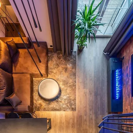 Soho Gallery Loft 437 Apartmán Kaunas